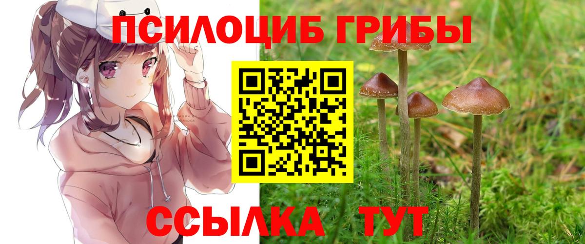 Псилоцибиновые грибы MAGIC MUSHROOMS Воркута